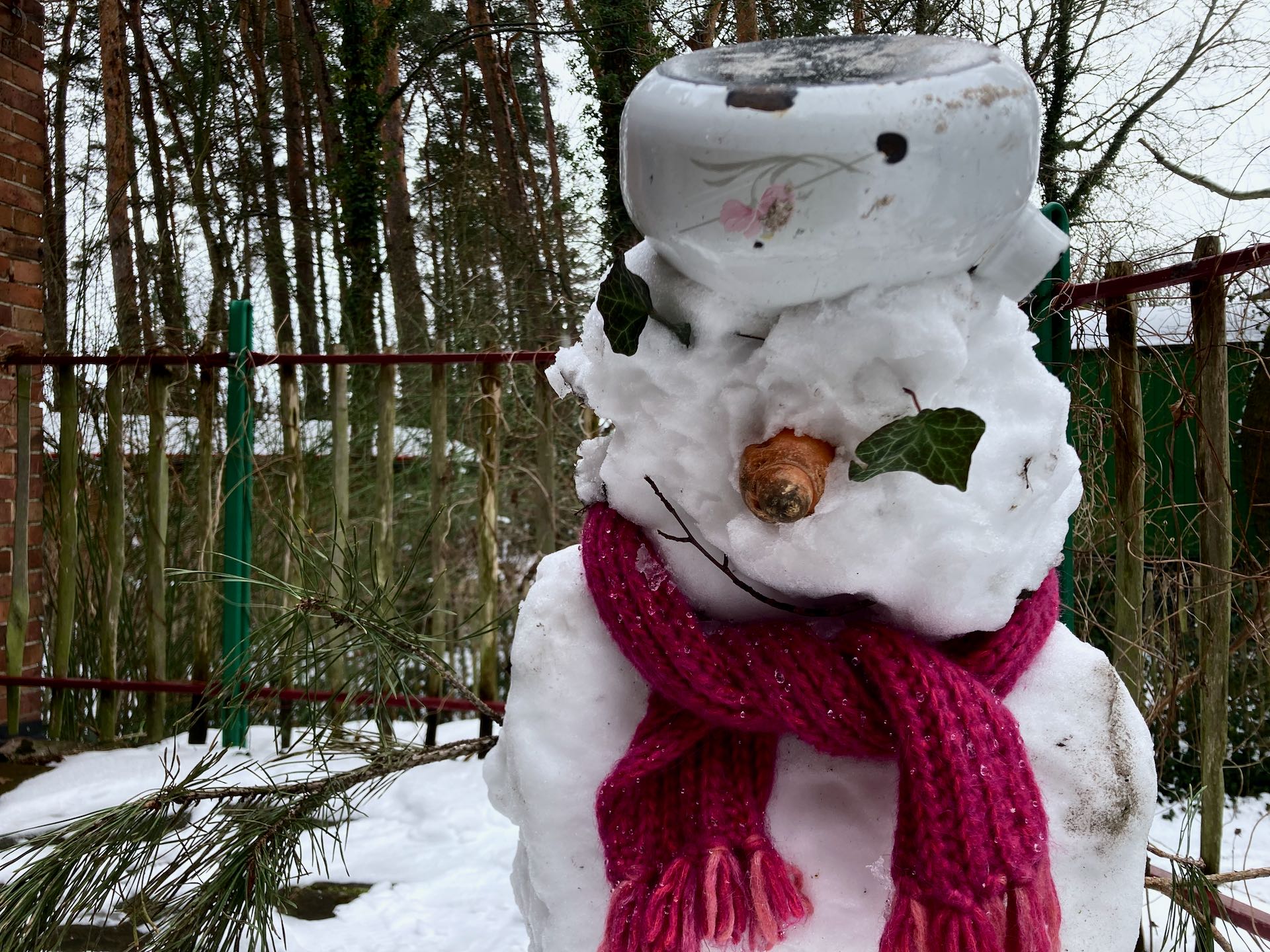 Schneeflöckchen, Weißröckchen